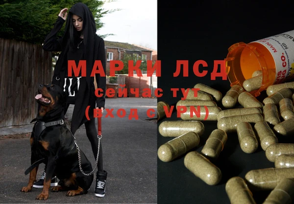 ECSTASY Верхний Тагил