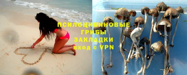 мескалин Карпинск
