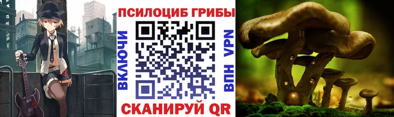 MEGA ONION  Кимры  Галлюциногенные грибы мухоморы  как найти  
